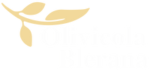 Olivicola Blerana – Home