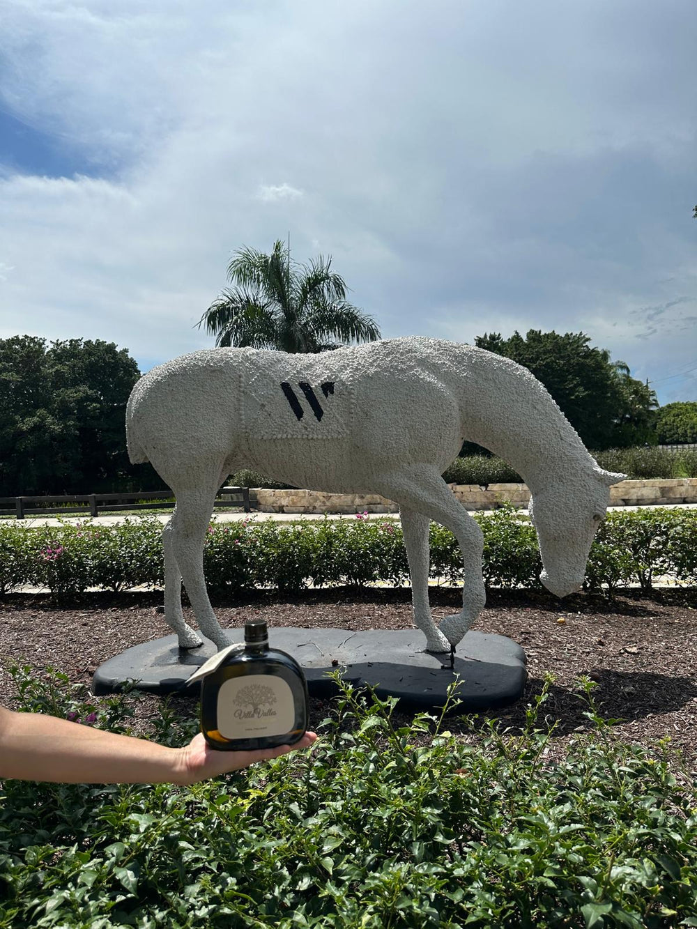 Marzia da Wellington, Florida