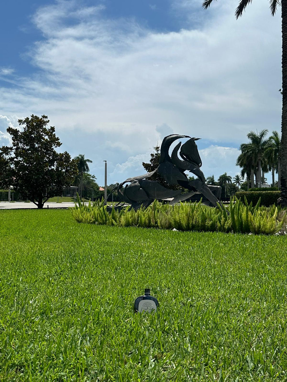 Marzia da Wellington, Florida